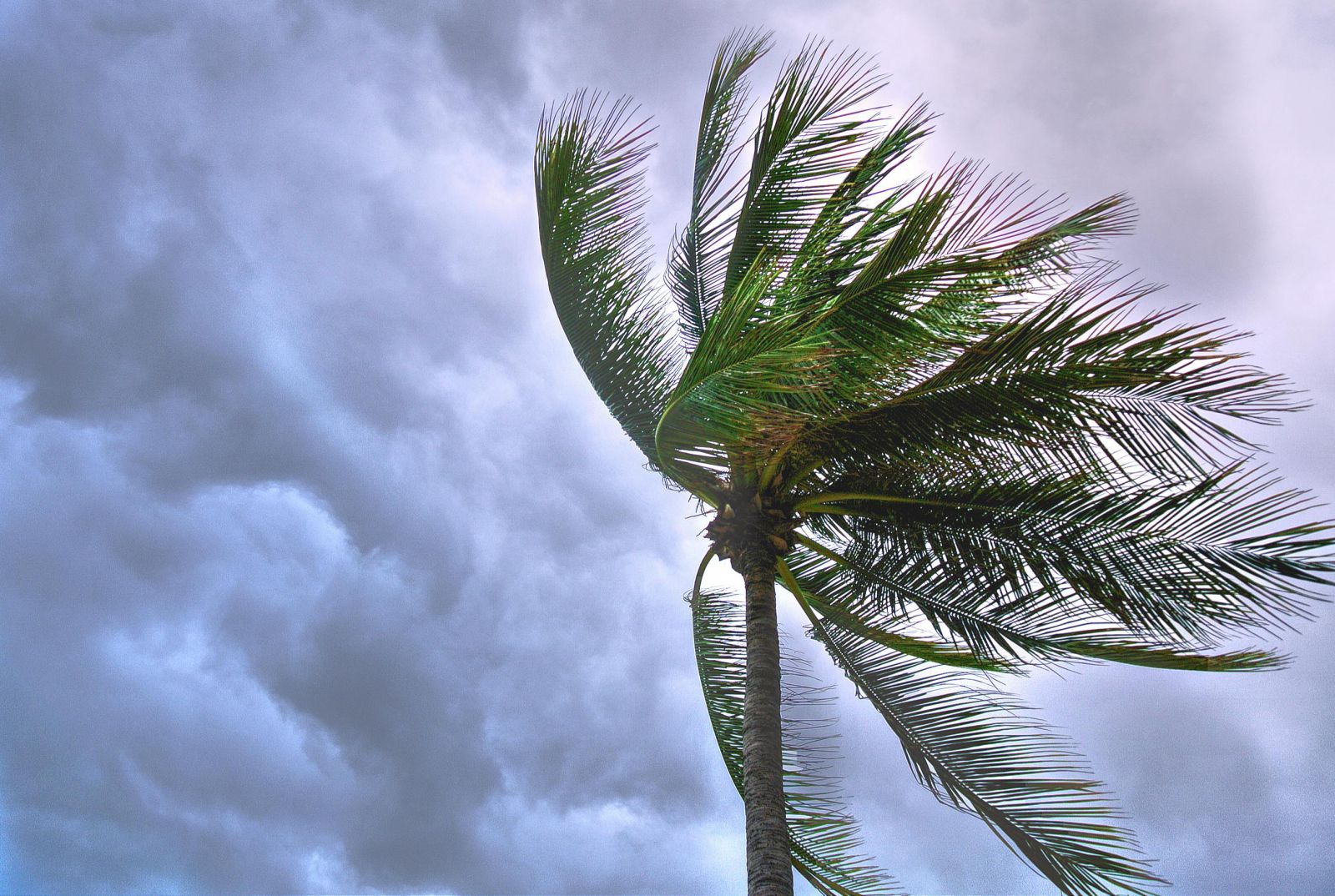 Typhoon Risk Prevention Measures